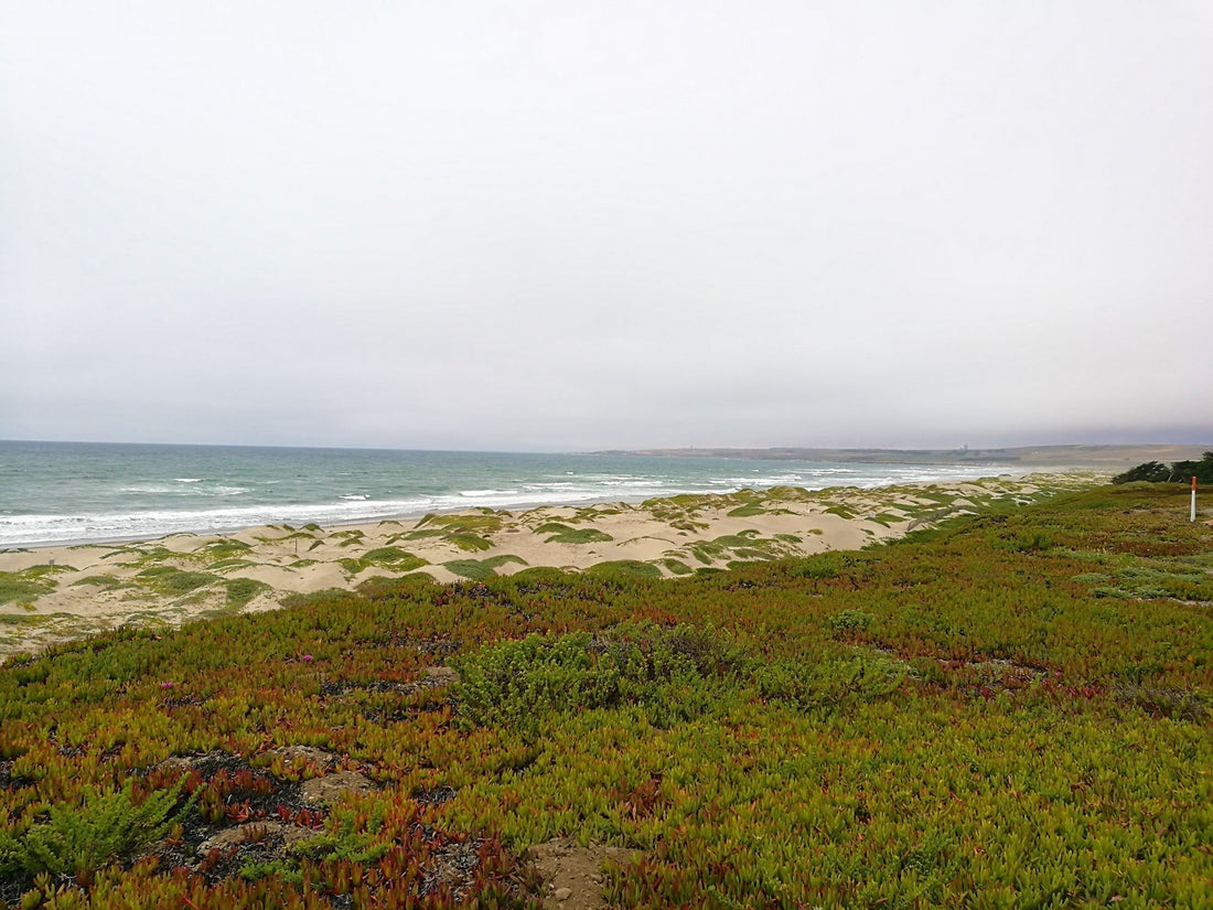 Surf Beach Lompoc Shirt "Nature and Exploration"