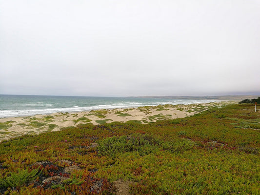 Surf Beach Lompoc Shirt "Nature and Exploration"